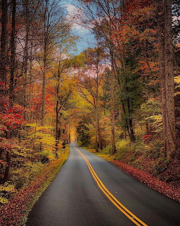 Paved road with yellow center lines winding through a colorful autumn forest with red and orange leaves