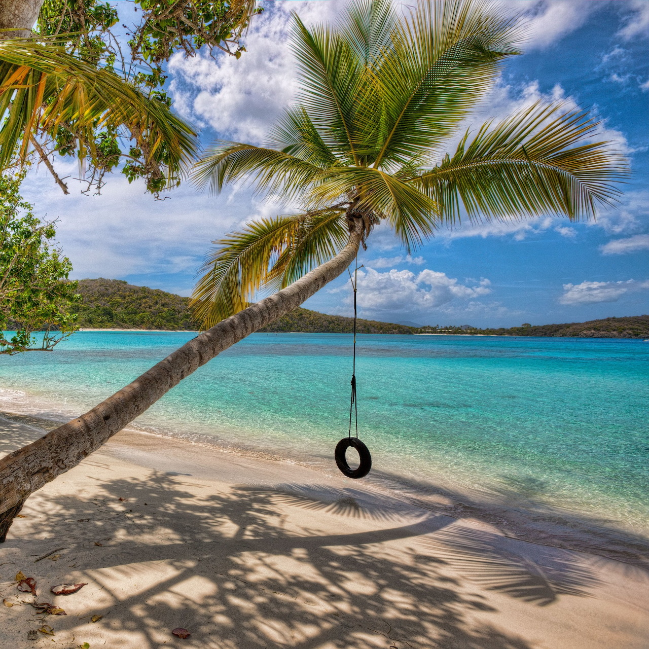 Palm tree with tire swing hanging over turquoise tropical beach with white sand and blue sky