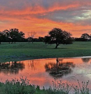 Orange sunset sky reflected in calm water with dark tree silhouettes and green grass