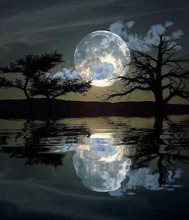 Moonlit Night Reflection