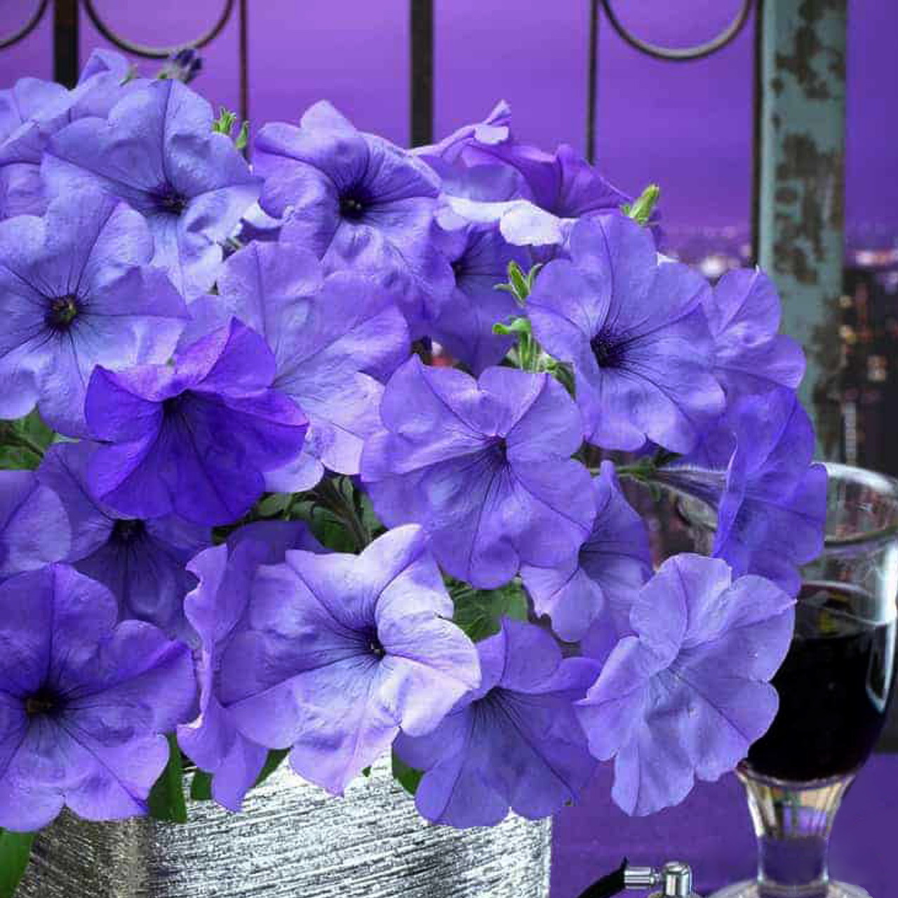 Purple Petunias Bouquet