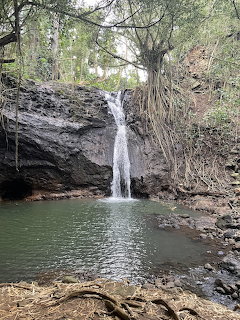 Waterfall flowing over dark rock face into a green pool surrounded by tropical trees and exposed roots