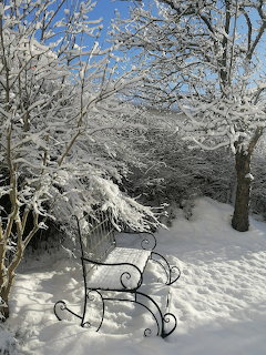 Metal garden bench surrounded by snow-covered trees and bushes under clear blue winter sky