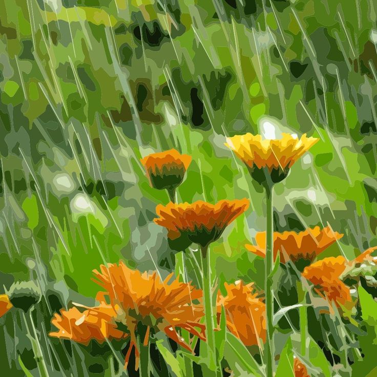 Orange flowers in green grass with diagonal rain