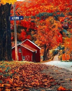 Red barn on autumn country road with orange fall leaves and vibrant foliage