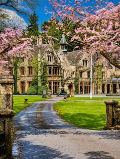 Stone manor house framed by pink cherry blossoms and green lawn in Cotswolds England