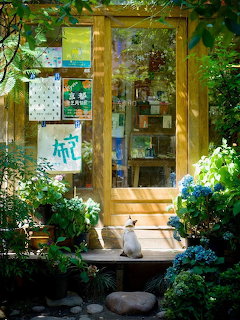 White cat sitting on wooden storefront doorstep surrounded by green plants and blue hydrangeas