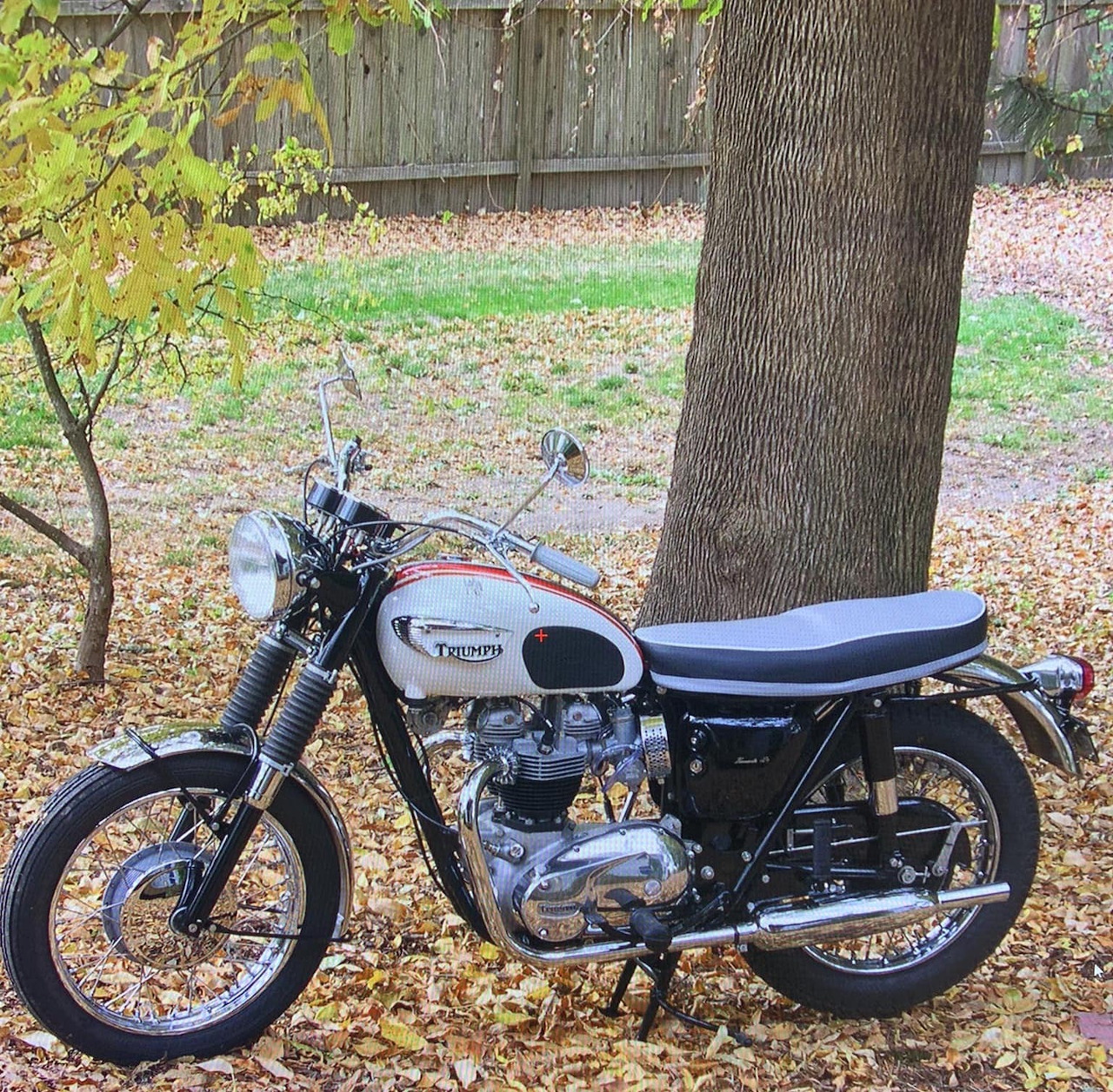 Vintage Triumph Bonneville motorcycle parked on grassy yard with autumn leaves and trees in background
