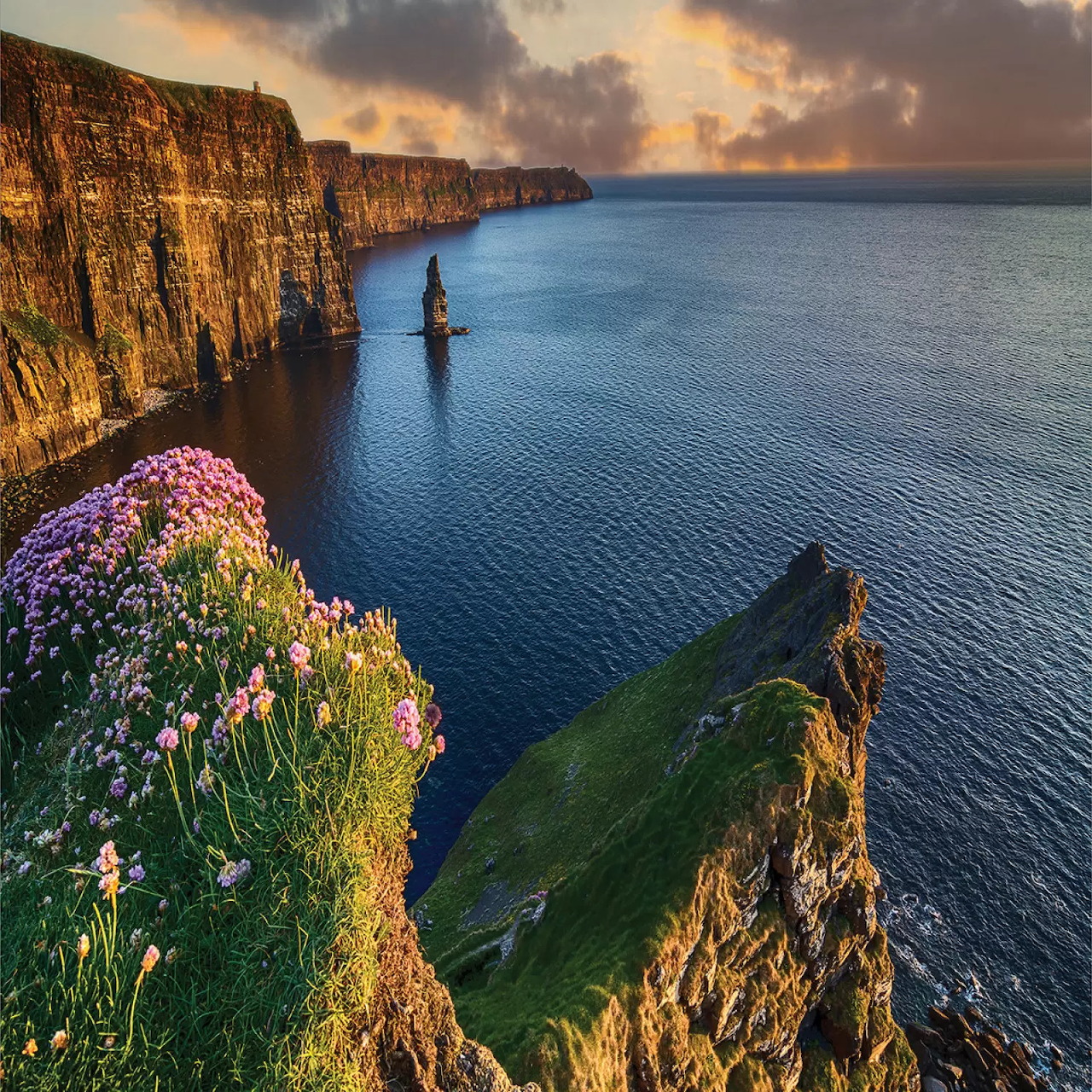 Tall coastal cliffs with wildflowers overlooking calm ocean at sunset