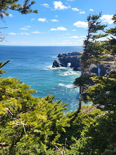 Rocky ocean coastline framed by green pine trees under blue sky with clouds