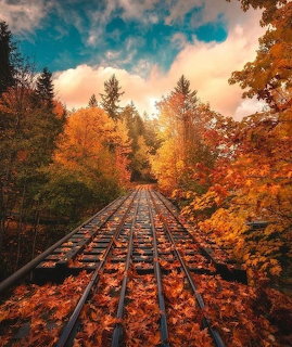Autumn Railway Tracks