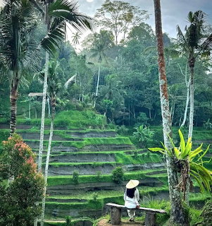 Bali Rice Terraces