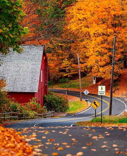 Curved road through autumn trees with red barn and fallen leaves