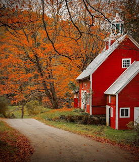 Red barn with white trim on a rural road lined with bright orange autumn trees