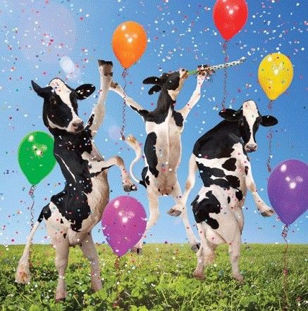 Dancing Cows Balloons