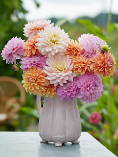 Bouquet of pink, peach, and purple dahlias in a pale vase on a table