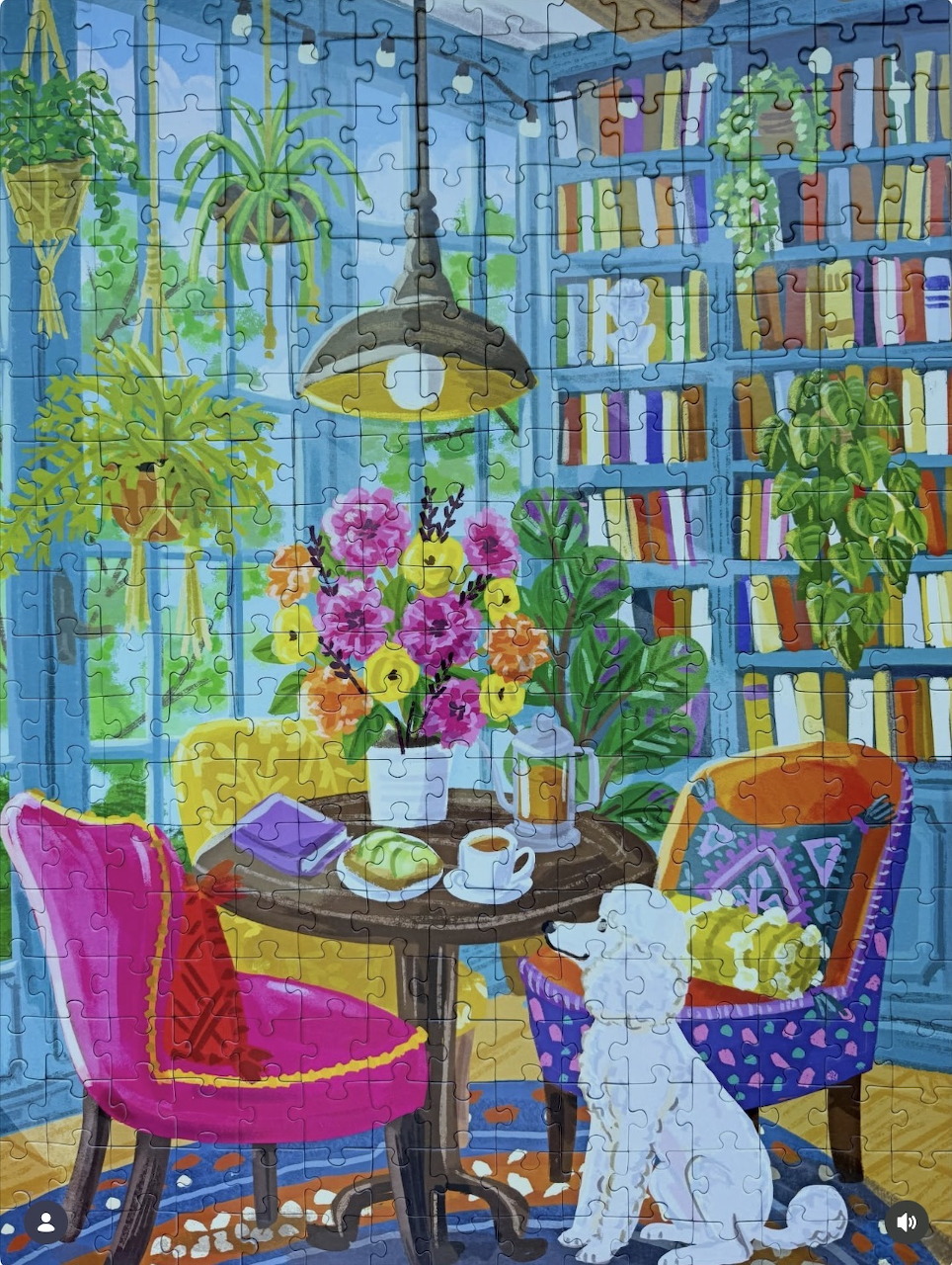Illustrated library nook with pink and blue chairs, white cat, flowers, bookshelves, and houseplants