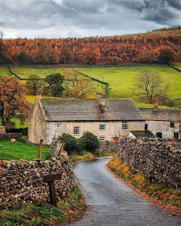 Stone cottage by a winding rural lane with green fields and autumn trees