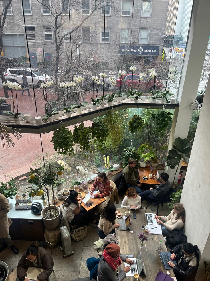 Cafe Garden Courtyard View