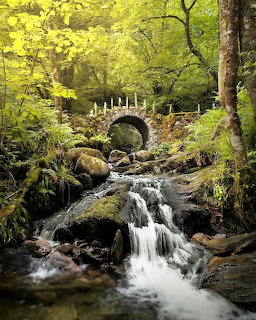 Stone arch bridge over a small waterfall in a lush green forest in Scotland