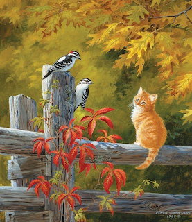 Kitten and Woodpeckers on Fence