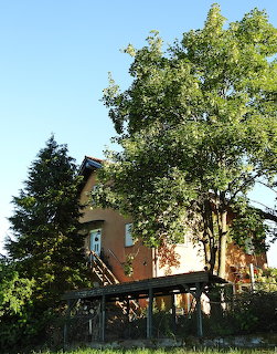 Yellow House with Garden Trees