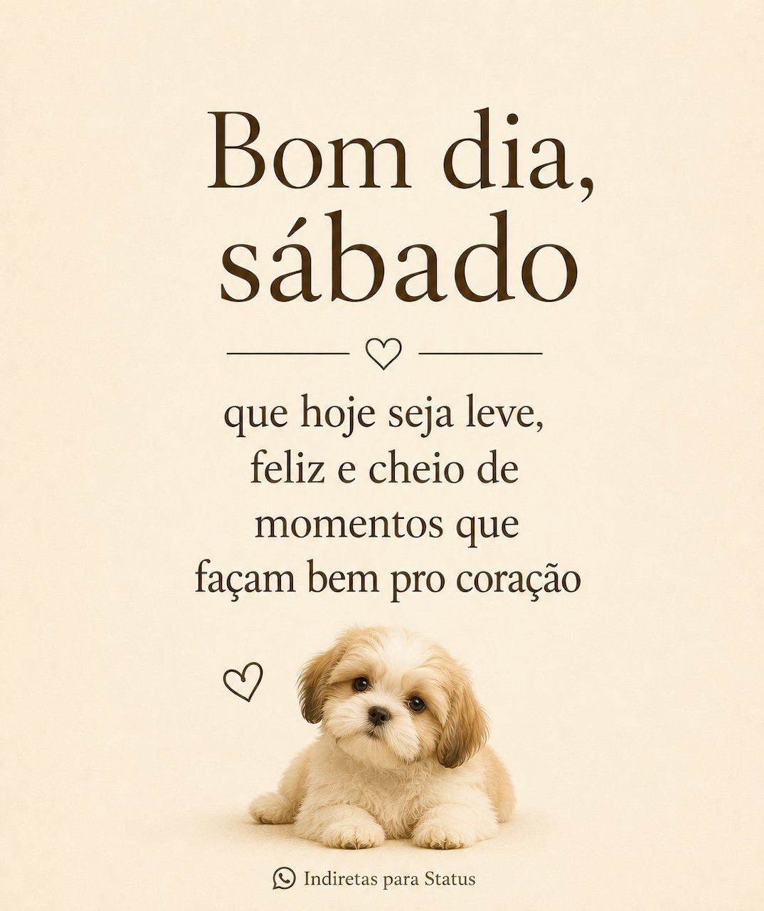 Bom Dia Sábado Puppy