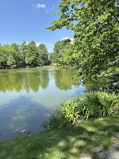 Calm green pond surrounded by leafy trees with cloud reflections on the water in a public garden