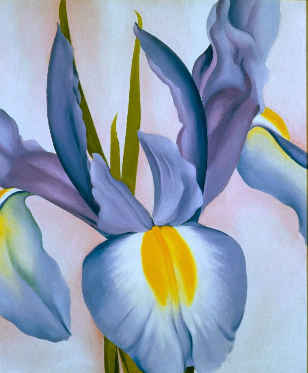 Painting of a pale blue and purple iris flower with yellow accents
