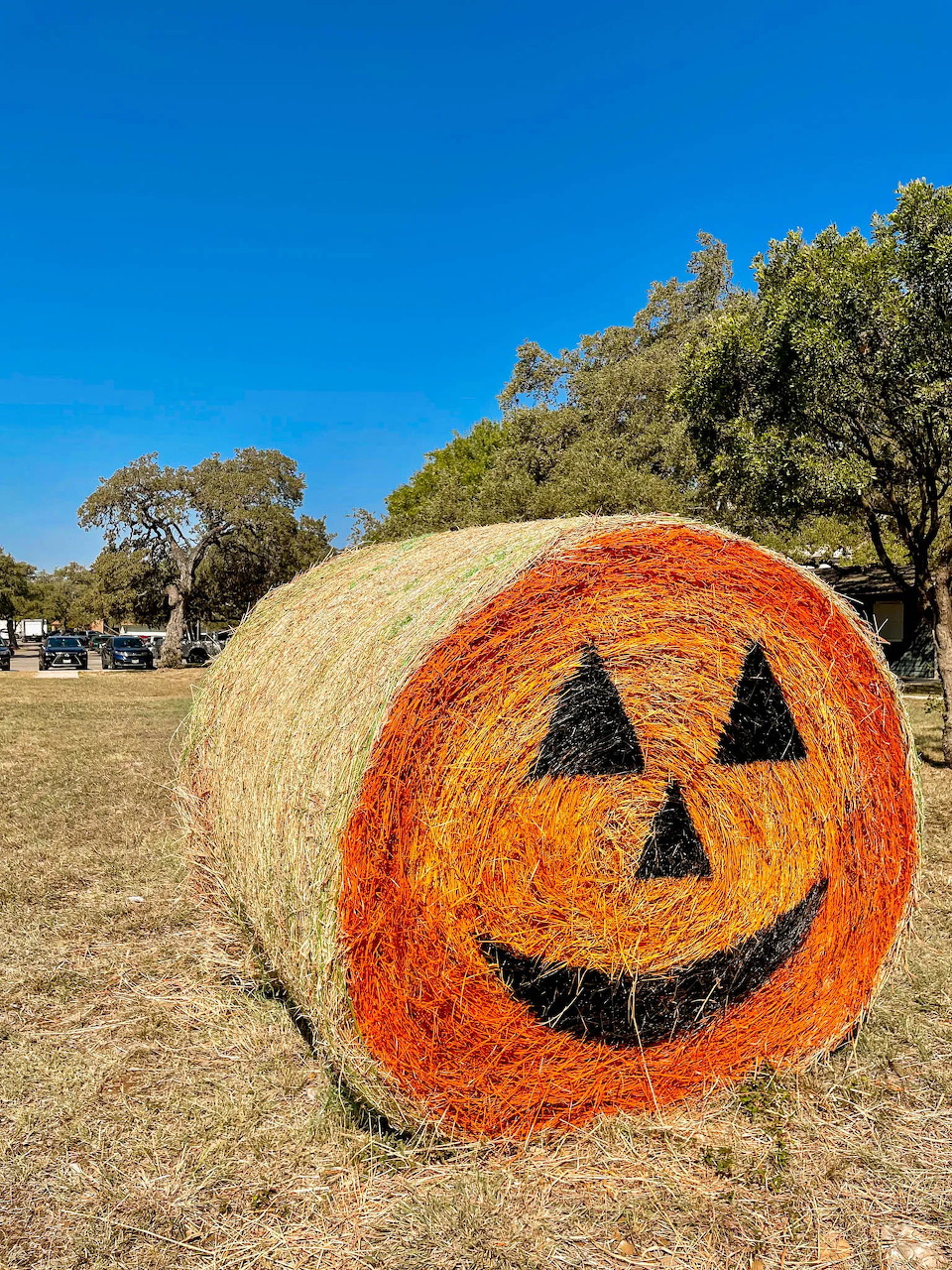 Large round hay bale painted as smiling jack-o-lantern pumpkin in sunny farm field with trees in background