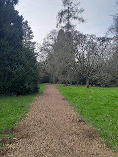 Gravel path through tree-lined arboretum with green grass and cloudy sky