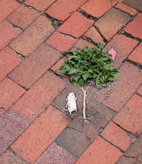 Weed on Brick Path