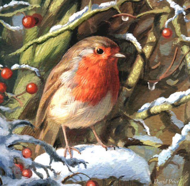 Small orange-breasted robin sitting on snow-dusted branch with red berries and green holly leaves