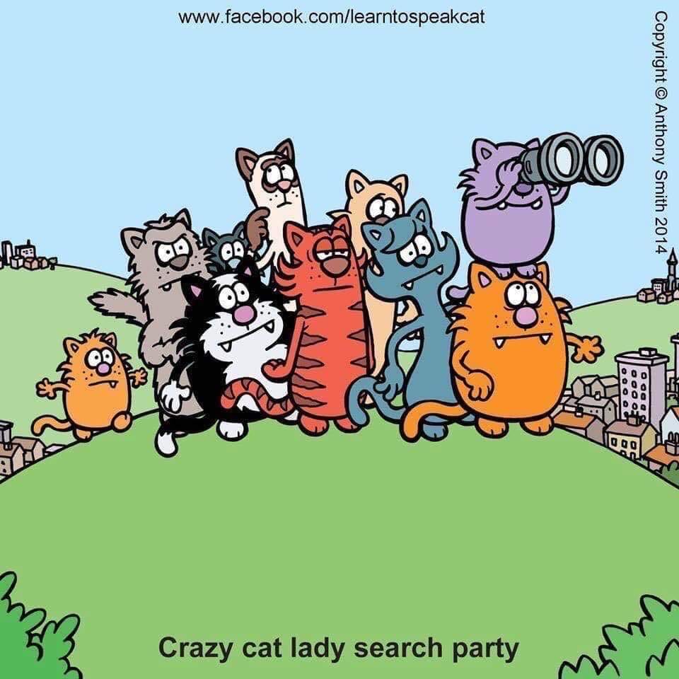 Group of cartoon cats in various colors standing together on a green hill