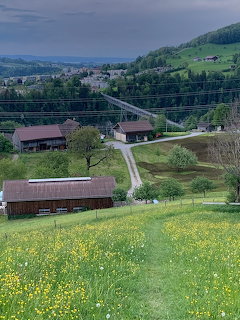 Rural village with farm buildings, green hills, and a winding road under a cloudy sky