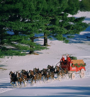 Team of Clydesdale horses pulling a red wagon through snow with pine trees behind