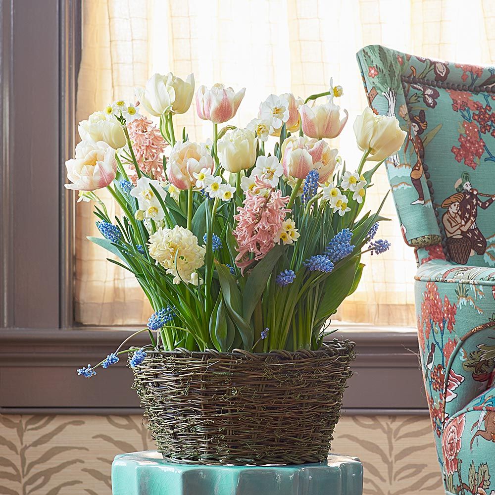 Wicker basket of pastel spring flowers on turquoise ottoman by window with patterned armchair