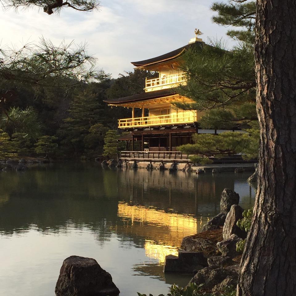 Golden pavilion temple reflecting in pond with Japanese garden