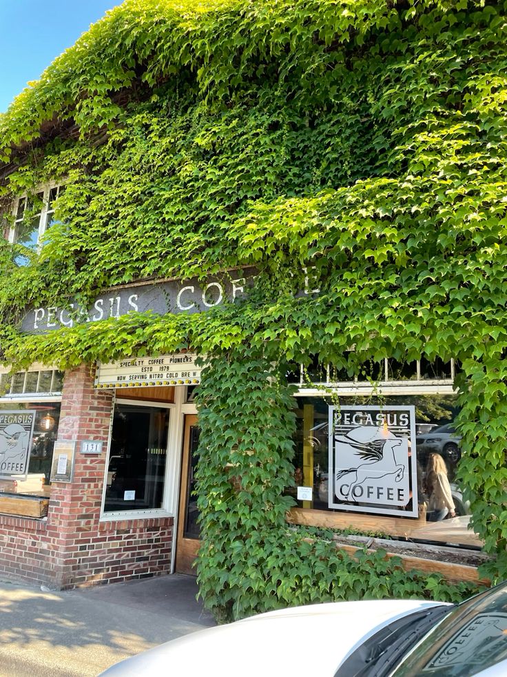 Overgrown ivy-covered exterior of Pegasus Coffee shop with rustic storefront