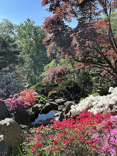 Hillwood Estate Gardens in Spring