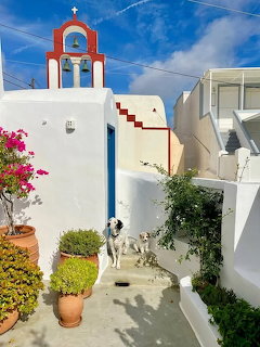 White Greek island building with red bell tower, pink bougainvillea, and a dog in a sunny courtyard