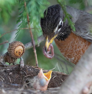 Bird Feeding Baby with Acorn