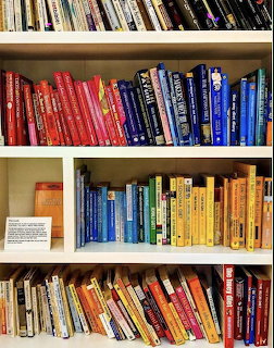 Rainbow Organized Bookshelf