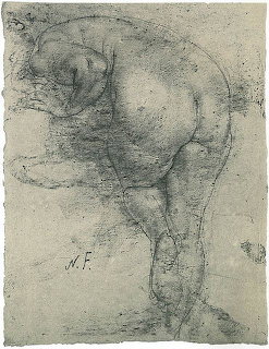 Renaissance charcoal sketch of muscular male figure from behind showing torso and legs on aged paper