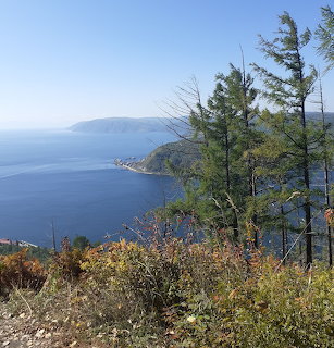 Lake Baikal view through pine trees and autumn shrubs from elevated hillside