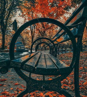 Circular metal bench frames create a tunnel perspective in a park lined with red autumn trees