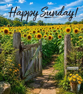Sunflower Field Gate