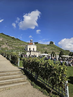 Terraced vineyard on a hillside with a baroque pavilion and green hedges under a blue sky