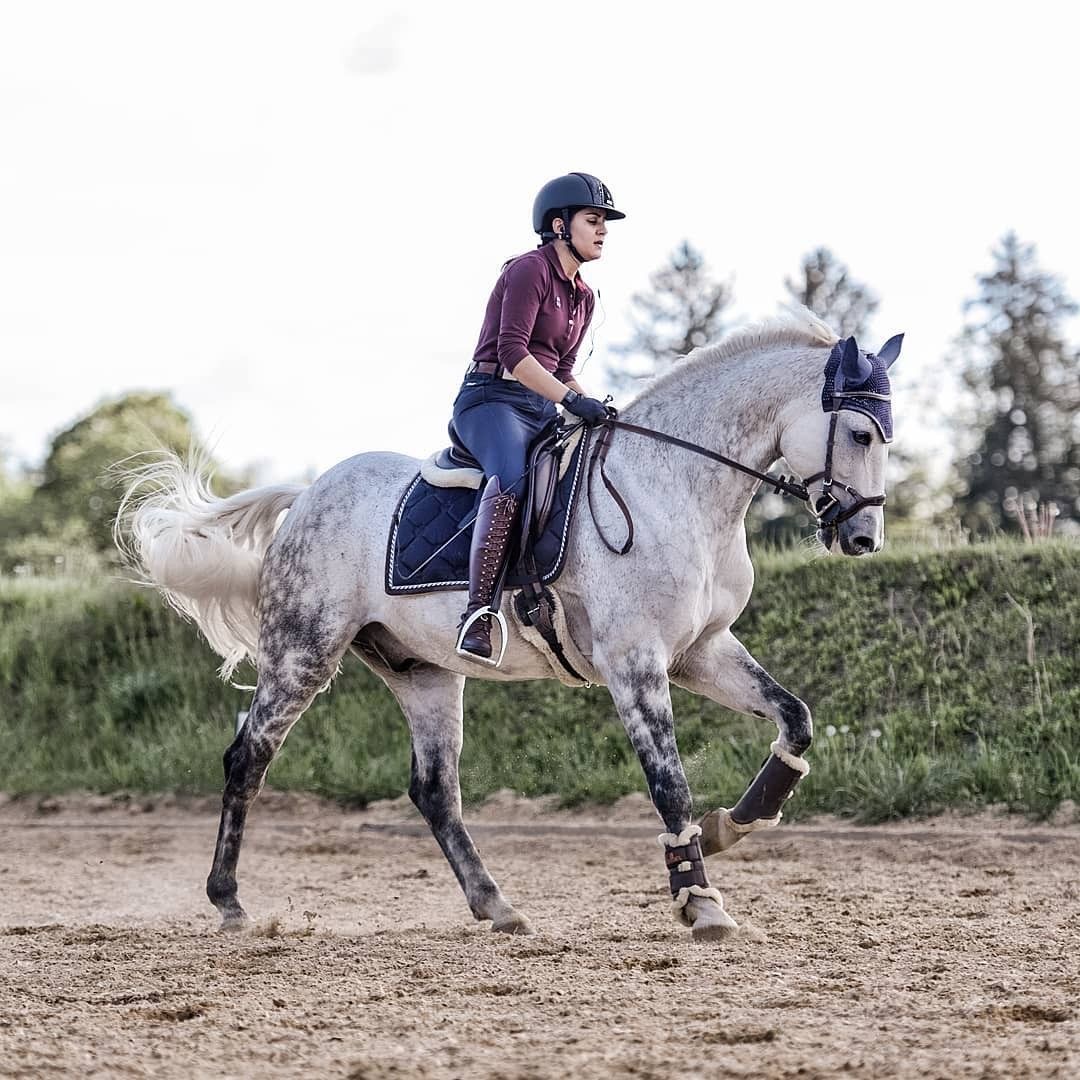 Rider on a dapple grey horse performing dressage in an outdoor sand arena