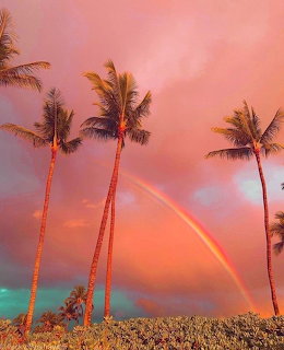 Rainbow over tropical beach at sunset with palm trees and colorful sky